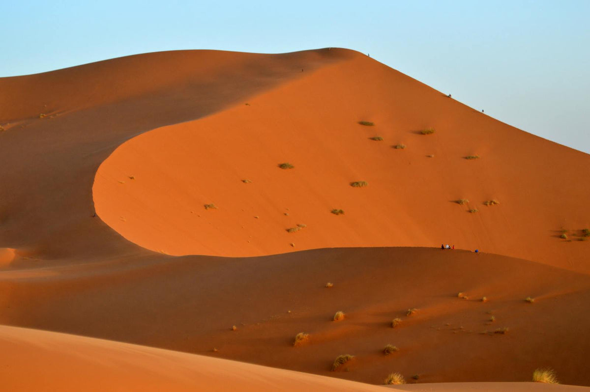 DESERT DUNES